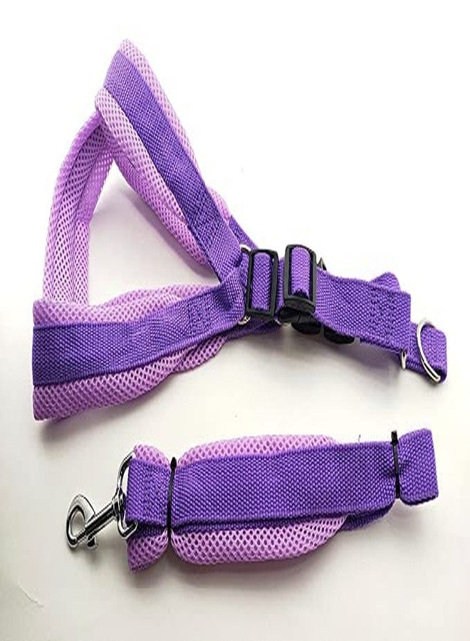 Pups&Pets سترة مبطنة من النايلون الأساسي الناعم والقابل للتعديل من Pups&Pets مقاس 1 بوصة مع حزام ومقود طويل، مثالية للمشي في الهواء الطلق/تدريب الكلاب (بنفسجي) - Image 2